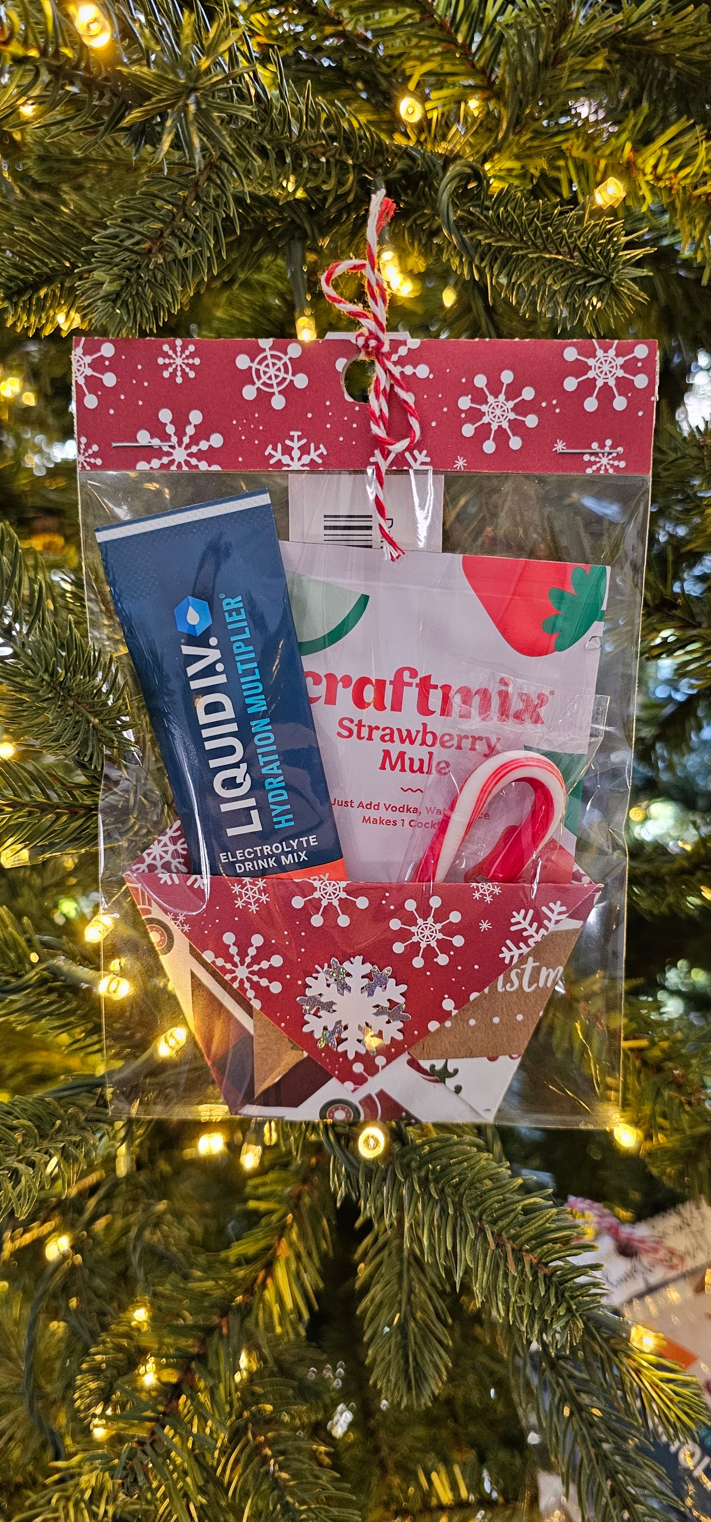 Drink Mix Gift Bag