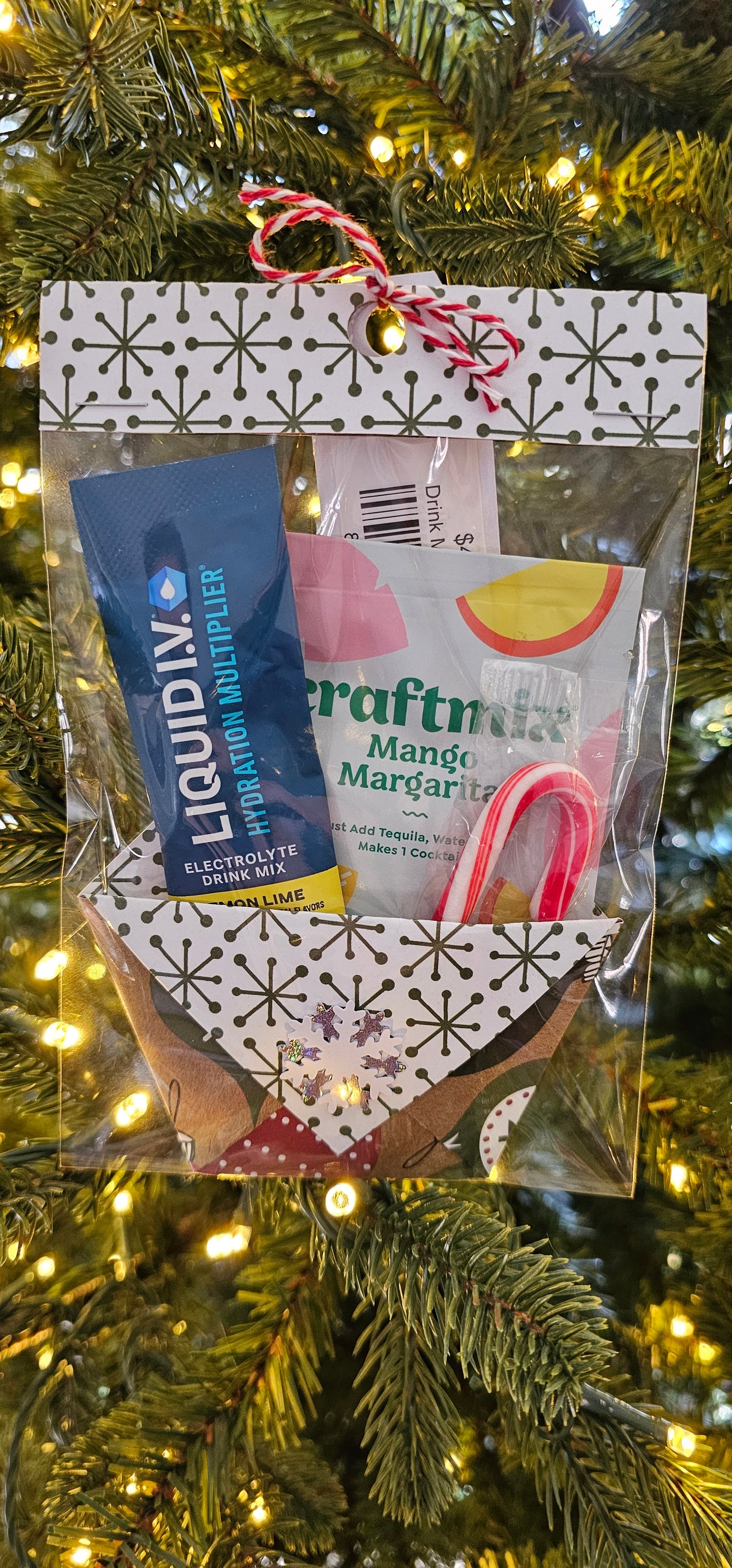 Drink Mix Gift Bag